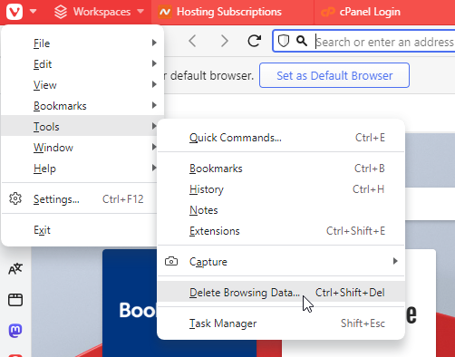 access the Delete Browsing Data dialogue How To Clear Cookies on Vivaldi Browser